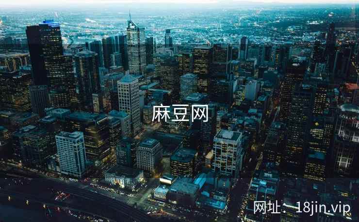 麻豆网