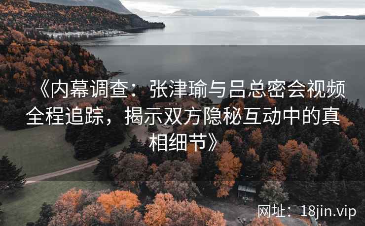 《内幕调查：张津瑜与吕总密会视频全程追踪，揭示双方隐秘互动中的真相细节》