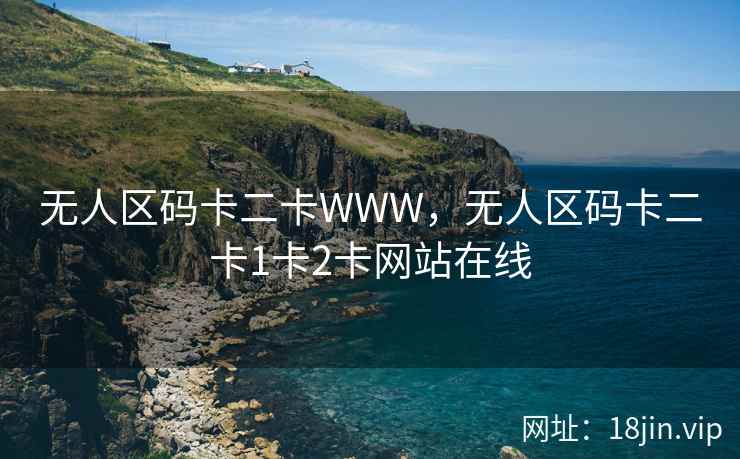 无人区码卡二卡WWW，无人区码卡二卡1卡2卡网站在线