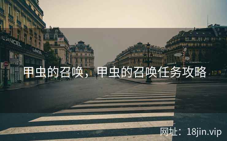 甲虫的召唤，甲虫的召唤任务攻略